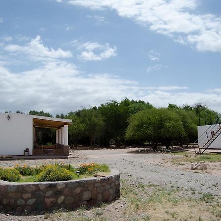 El Zorro Gris Villa Tinogasta Dış mekan fotoğraf