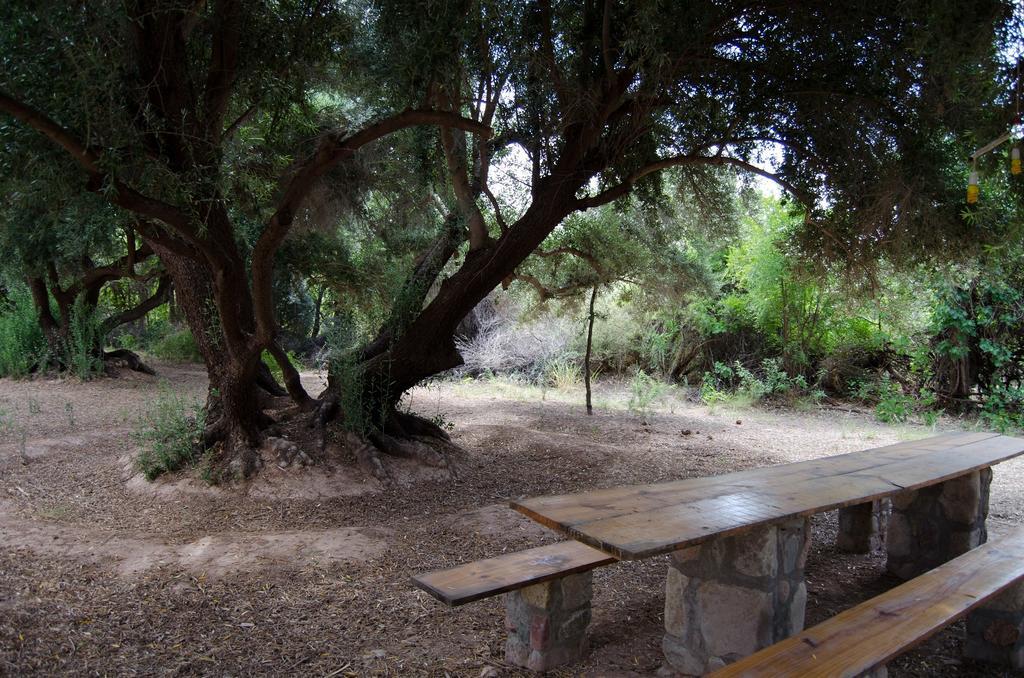 El Zorro Gris Villa Tinogasta Dış mekan fotoğraf