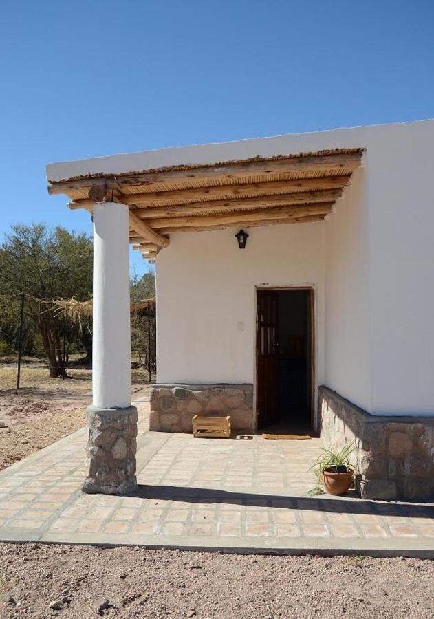 El Zorro Gris Villa Tinogasta Oda fotoğraf
